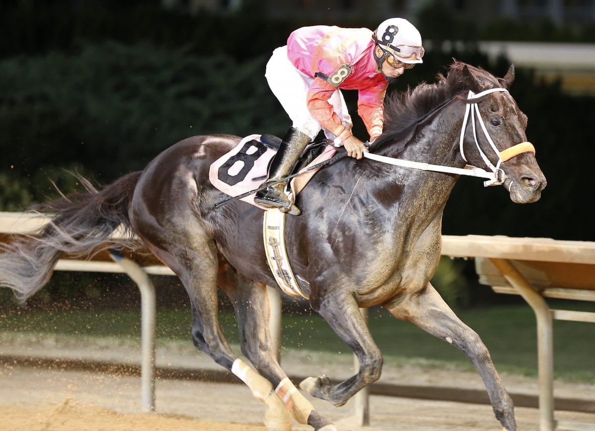 “Jersey boy” Kelly Breen takes two cracks at Breeders’ Cup glory