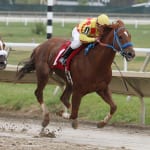 Weekend Laurel Park Wagering Guide available