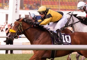 Bear Access made the early lead, controlled the pace, and held off the pursuit in a Maryland Million Ladies shocker. Photo by Jim McCue, Maryland Jockey Club.