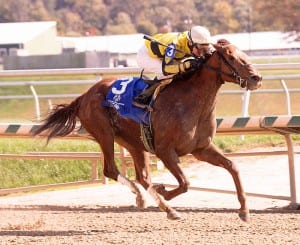 Classy Coco takes the Maryland Million Distaff. Photo by Jim McCue, Maryland Jockey Club.