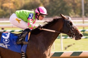 DC Dancer jitterbugs to a Maryland Million Sprint victory. Photo by Jim McCue, Maryland Jockey Club.