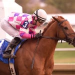 Maryland Million a party, and, for horsemen, a goal