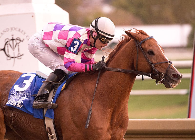 Eightttofasttocatch (Not for Love-Too Fast to Catch, by Nice Catch) wins the Maryland Million Classic. T: Tim Keefe. O: Sylvia Heft. B: Dark Hollow Farm & Herringswell Stable. (MD). Photo by Jim McCue, Maryland Jockey Club.