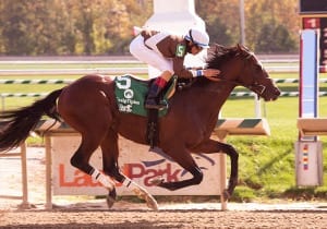 Golden Years takes the Maryland Million Nursery. Photo by Jim McCue, Maryland Jockey Club.