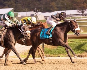 My Magician (Street Magician-My Rib, by Partner's Hero) wins the Maryland Million Lassie. T: Michael Trombetta. O: R. Larry Johnson and RDM Racing Stable. B: Dr. and Mrs. Tom Bowman, Brooke Bowman, R. Larry Johnson. Photo by Jim McCue, Maryland Jockey Club.