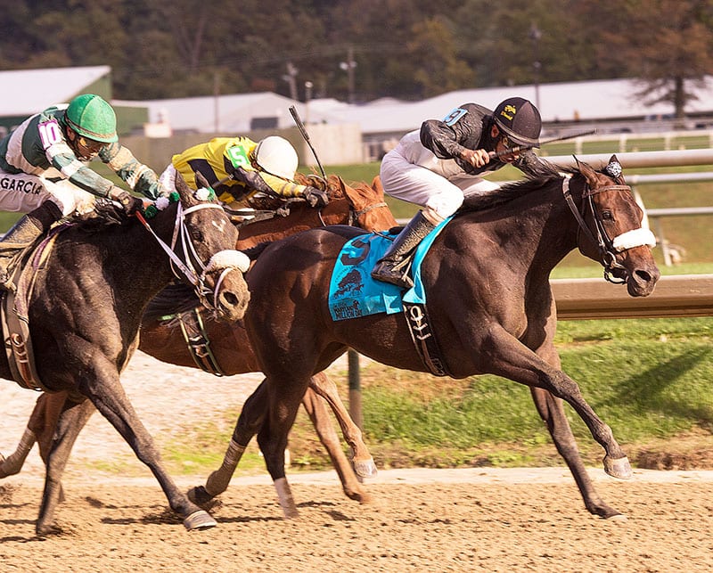 My Magician breaks her maiden, upsets Maryland Million Lassie