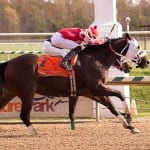 Handicapping Zen: Trainers, jocks, and you