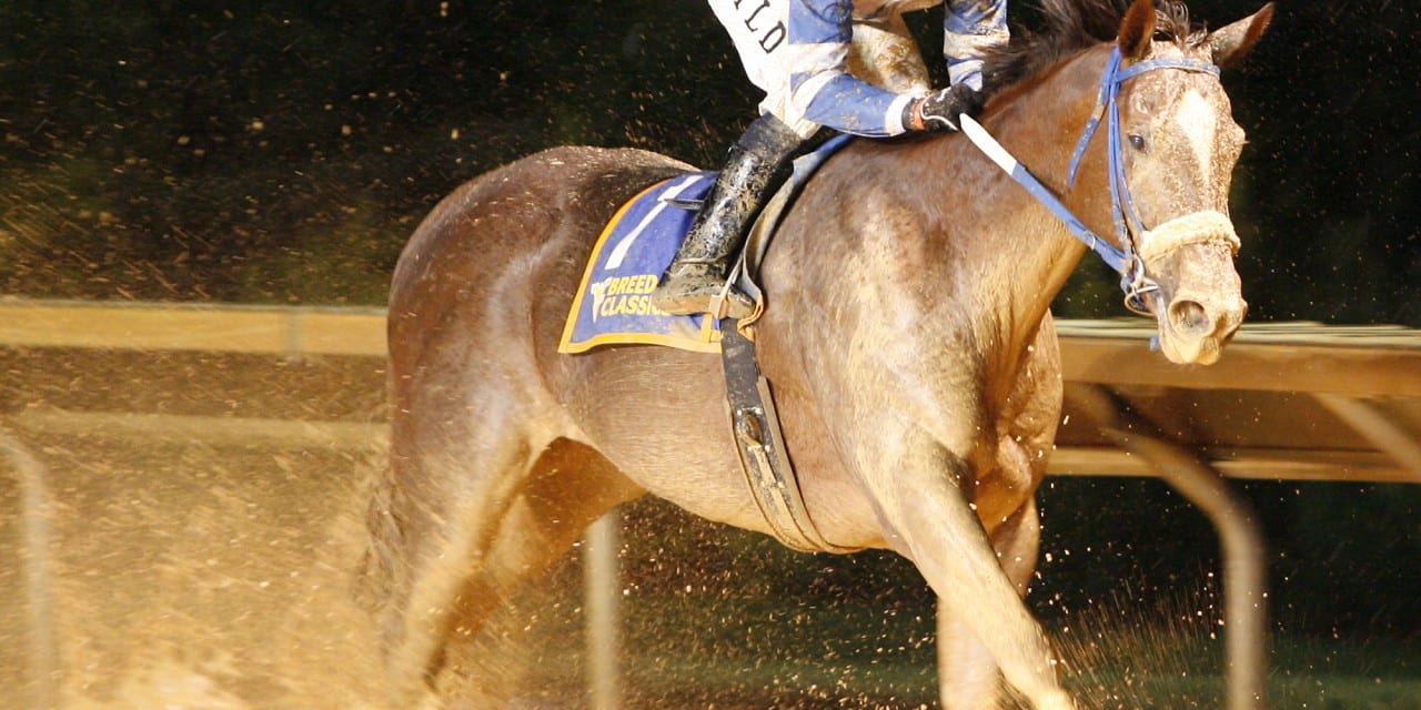 Travis Stone to announce WV Breeders’ Classics