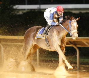Russell Road wins the 2009 West Virginia Breeders Classic -- the first of his two victories in the event. Photo by Jeff Brammer.