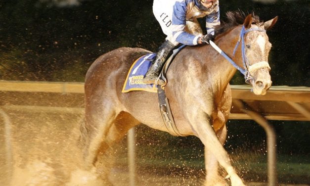 Russell Road one of 3 prior winners aimed at WV Breeders Classic