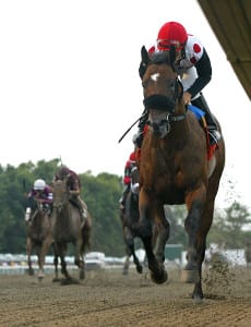 Souper Colossal rolls in the Sapling. Photo By Bill Denver/EQUI-PHOTO