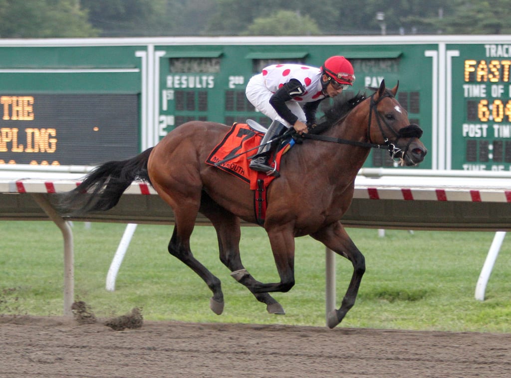 Souper Colossal in the Sapling. Photo By Ryan Denver/EQUI-PHOTO