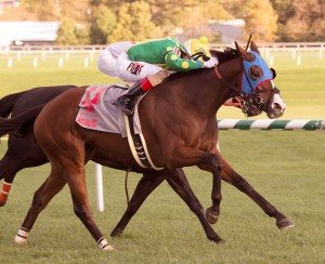 Talk Show Man rallied outside to nail Ben's Cat and win the Maryland Million Turf. Photo by Jim McCue, Maryland Jockey Club.