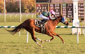 Vicky Ticky Tavie. Photo by Jim McCue, Maryland Jockey Club.