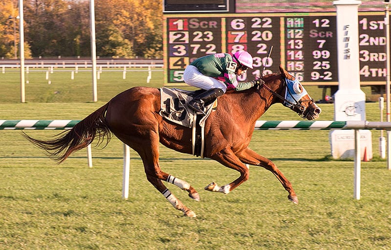 Bombs away: longshots lead to huge triple at Laurel Park