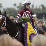 Four Midlantic-breds sell at Fasig-Tipton November