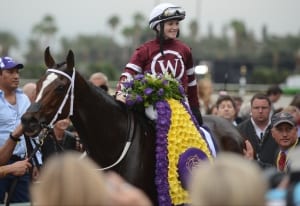 Rosie Napravnik, aboard Untapable, smiles after what is, for now, the final win of her career, in the Breeders' Cup Distaff. Photo by © Breeders' Cup/Weasie Gaines 2014