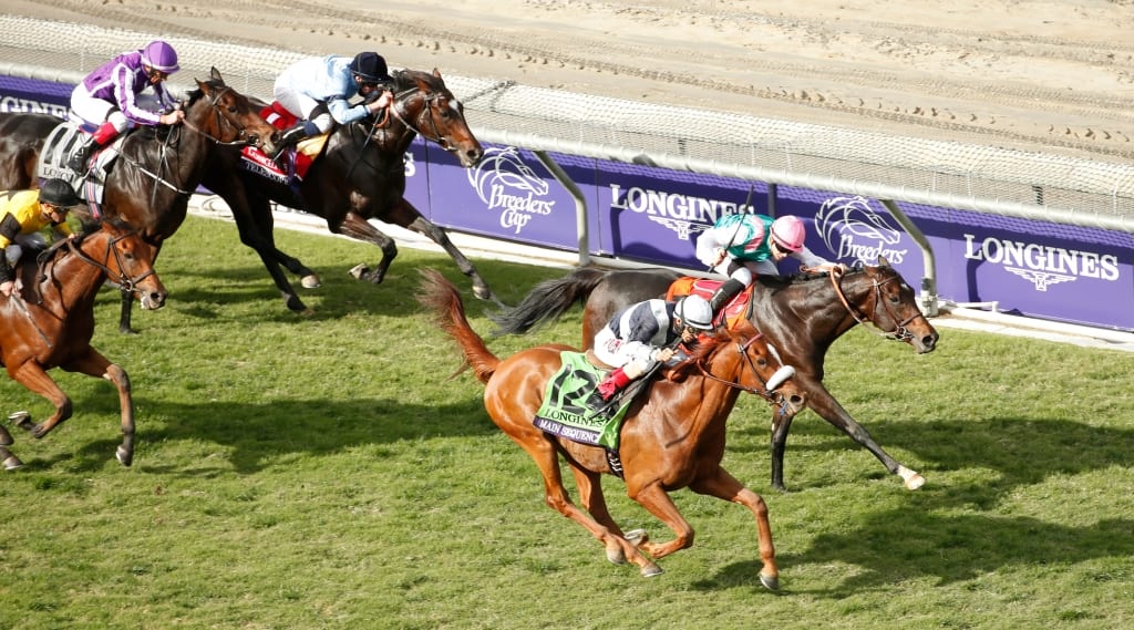 Main Sequence, on the outside, gets the better of Flintshire in the Turf. Photo by © Breeders' Cup/Todd Buchanan 2014