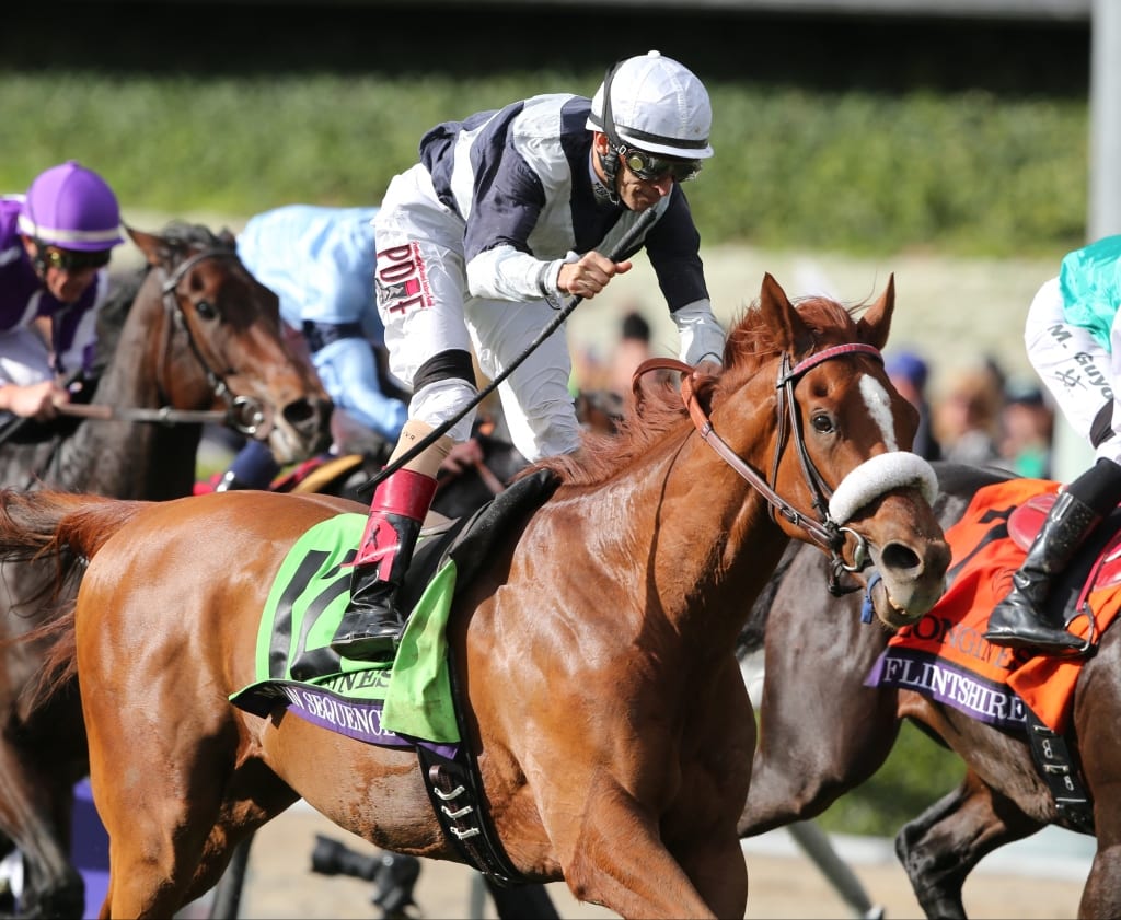 Main Sequence wins the 2014 Breeders' Cup Turf. Photo by © Breeders' Cup/Gary Bogdon 2014