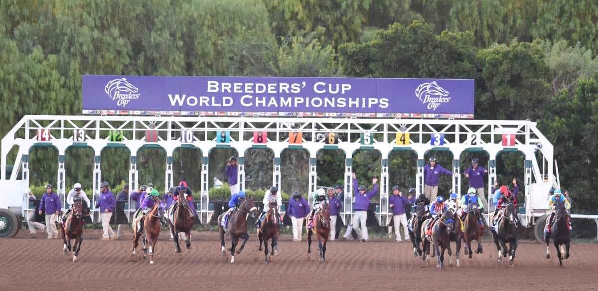 Breeders’ Cup releases 2015 ticketing info