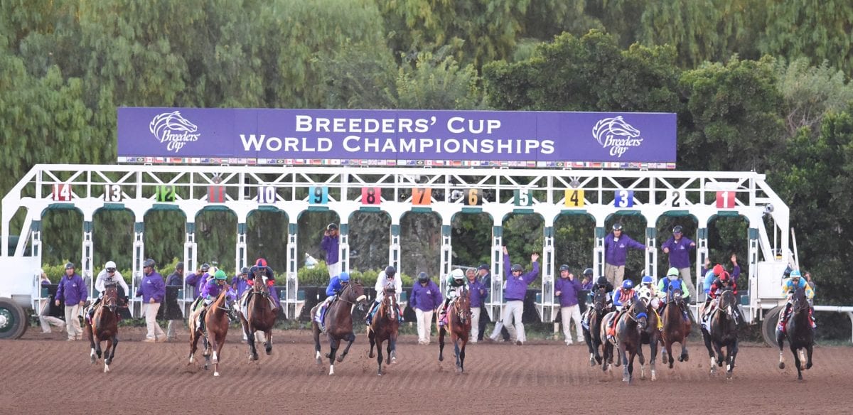 Santa Breeders Cup Seating Chart