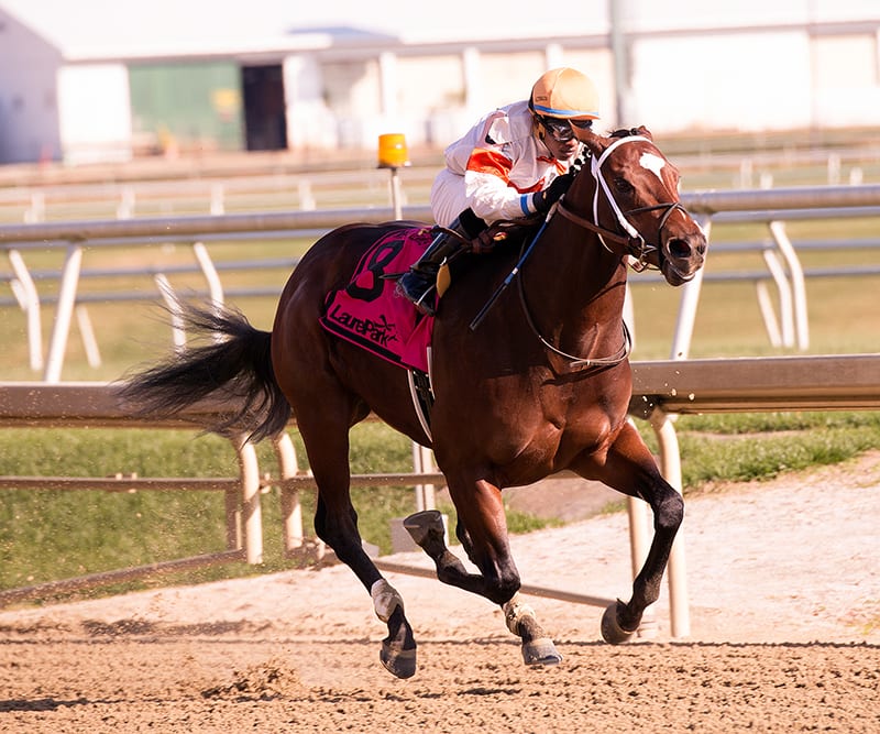 Cinco Charlie takes the James F. Lewis III Stakes. Photo by Jim McCue, Maryland Jockey Club.