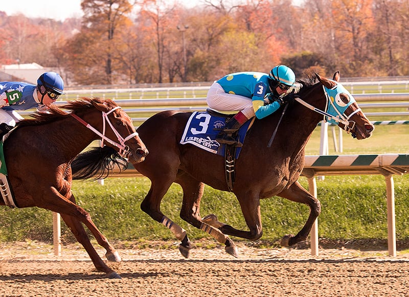 Lake Sebago takes the Smart Halo Stakes. Photo by Jim McCue, Maryland Jockey Club.