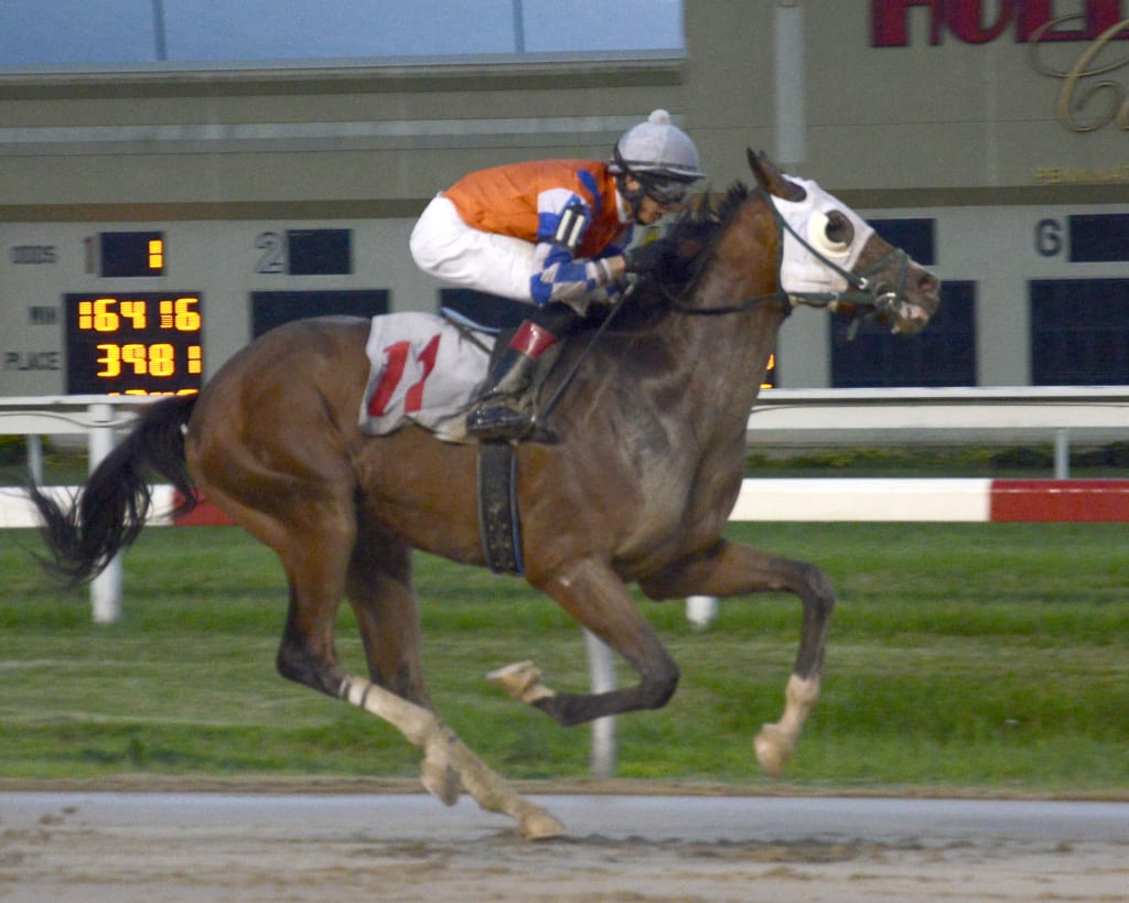 Van Persie, here running at Penn National, will be a longshot in the Swatara. Photo by Donna Kovalchick/B & D Photography.