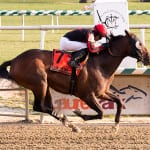 Mary Eppler wins three at Laurel Park