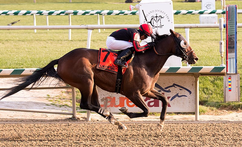 Laurel Park cards four Saturday stakes