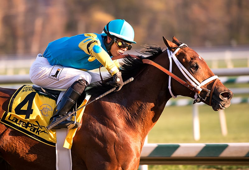 Zee Bros upsets the De Francis. Photo by Jim McCue, Maryland Jockey Club.