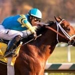 Seven last-out winners tangle in Smart Halo