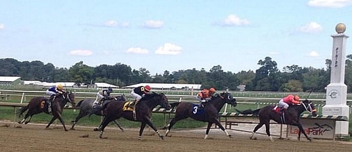 King Henry (#4) was a game second, to Bern Identity, in the Dave's Friend at Laurel in September. Photo by The Racing Biz.