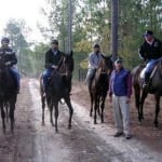 Horse racing movies for a snowy day