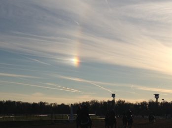 lrlrainbow