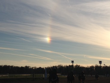 lrlrainbow