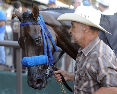 private zone12nyra