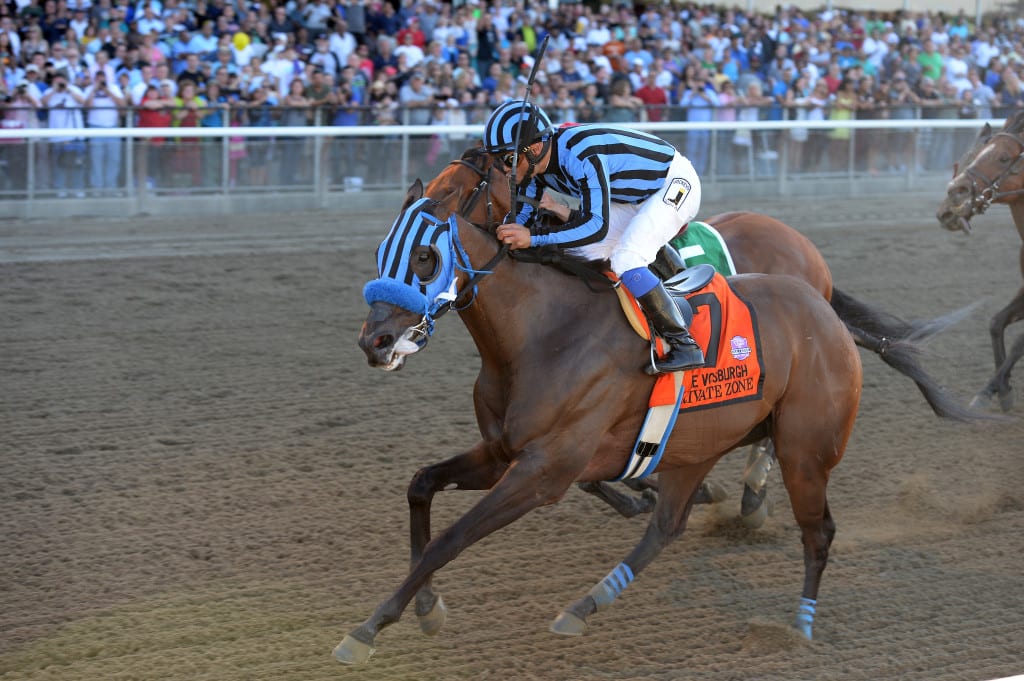 Private Zone wins the Vosburgh Stakes at Belmont Park. Photo by Chelsea Durand/NYRA.