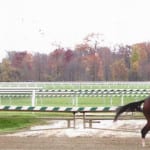 Penn National postpones Wednesday card