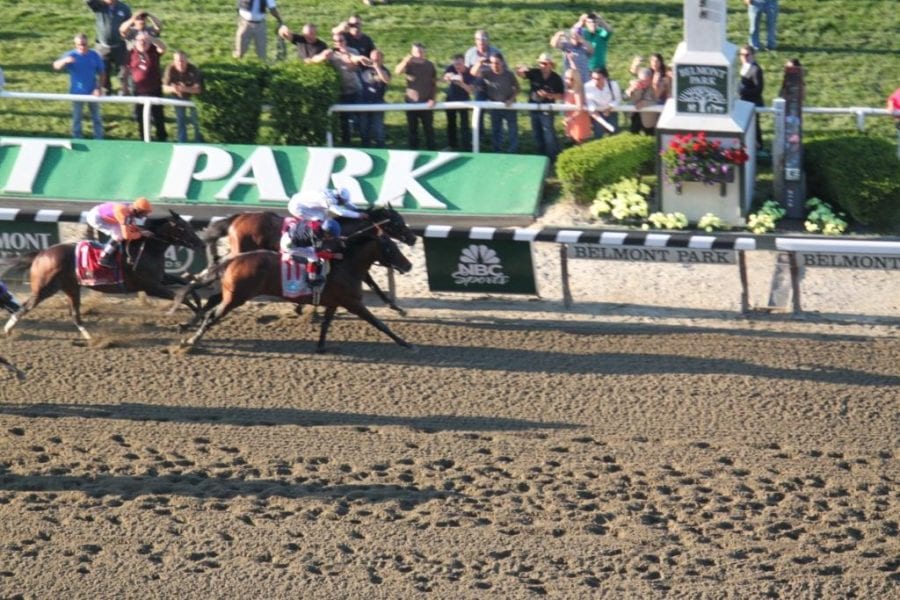 Tonalist up late to win the Belmont Stakes. Photo by Nick Hahn.