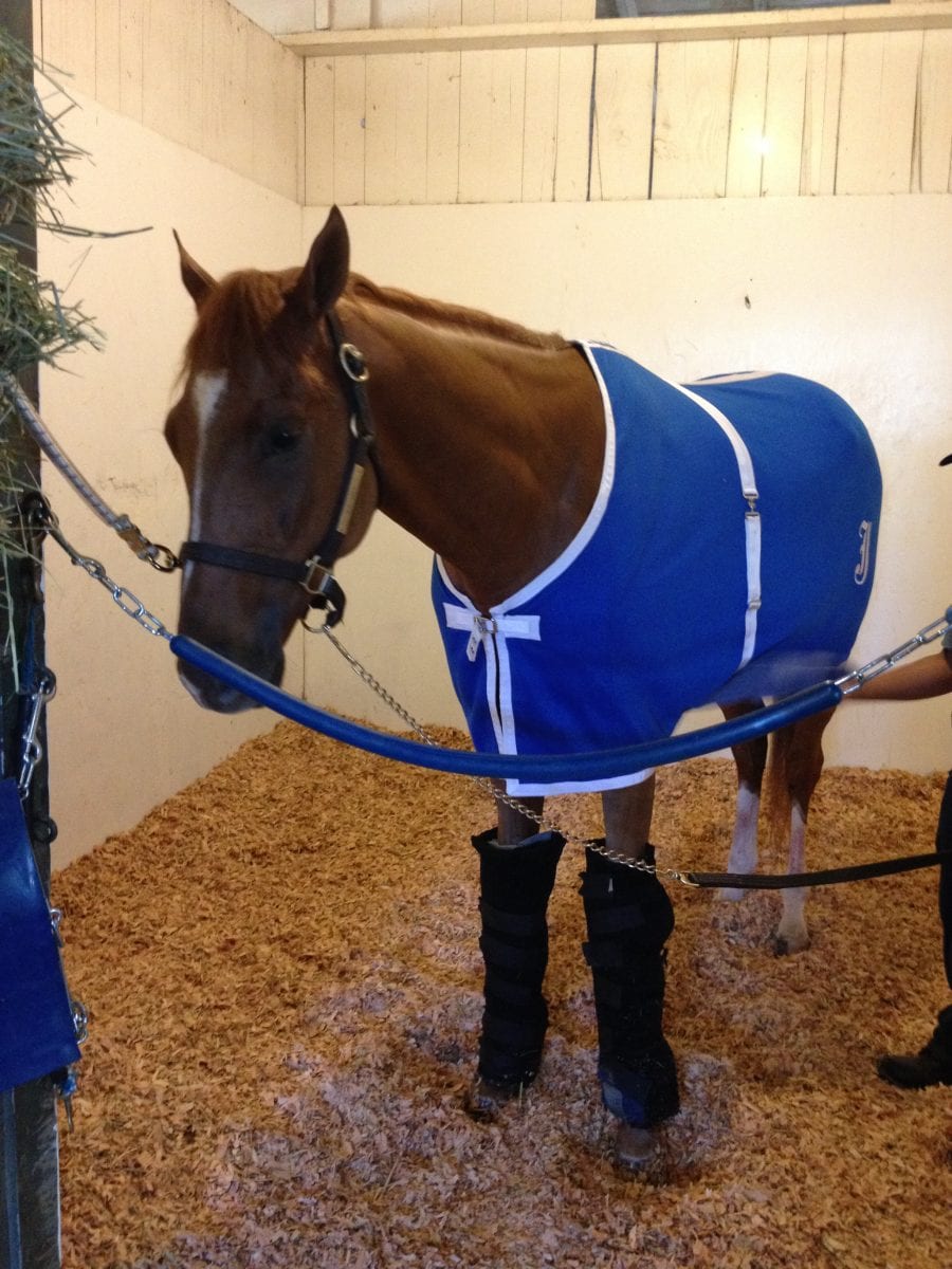 V. E. Day in 2014 awaits his next big racing day. Photo by Lauren Woolcott.