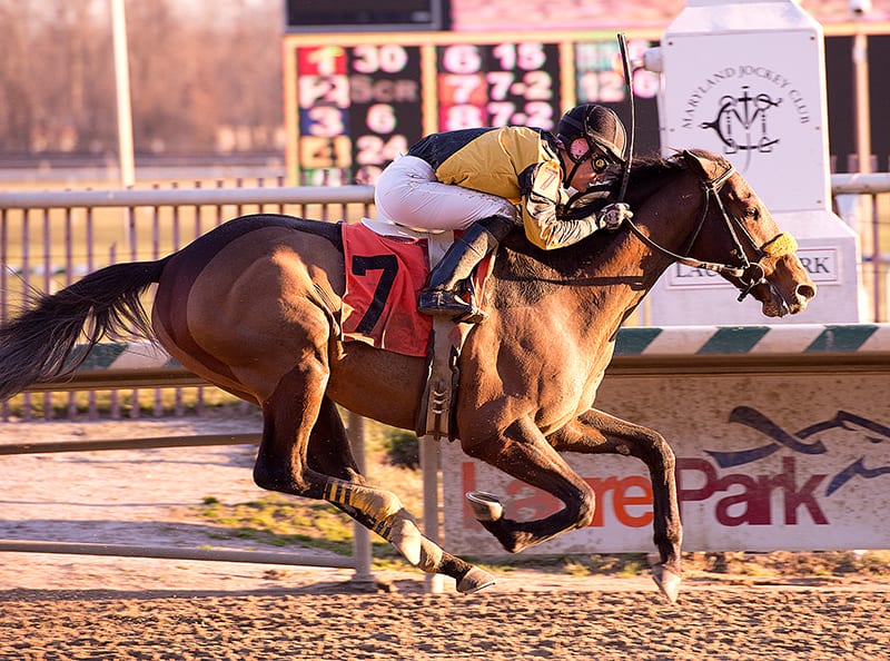 Ghost Bay rallies to Juvenile Futurity score