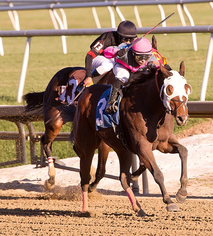 FREE Wagering Guide to Laurel stakes available