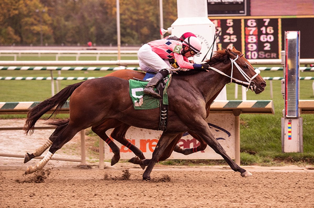 Made Bail looks to capture first stake win