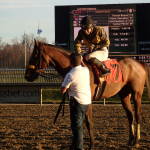 Thoroughbred Charities of America to present Awards of Merit