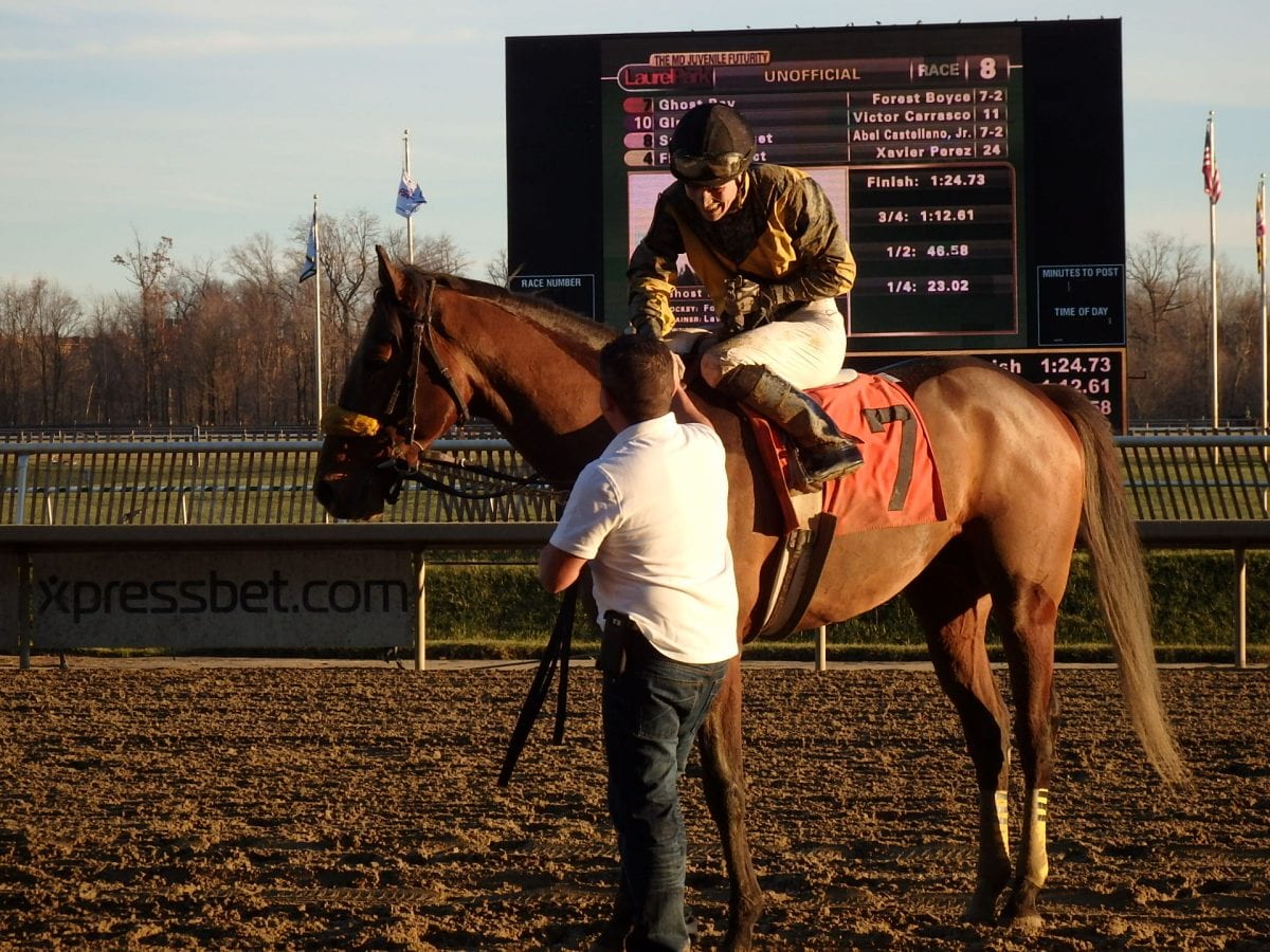 RaceBrief: Horses we watched this weekend