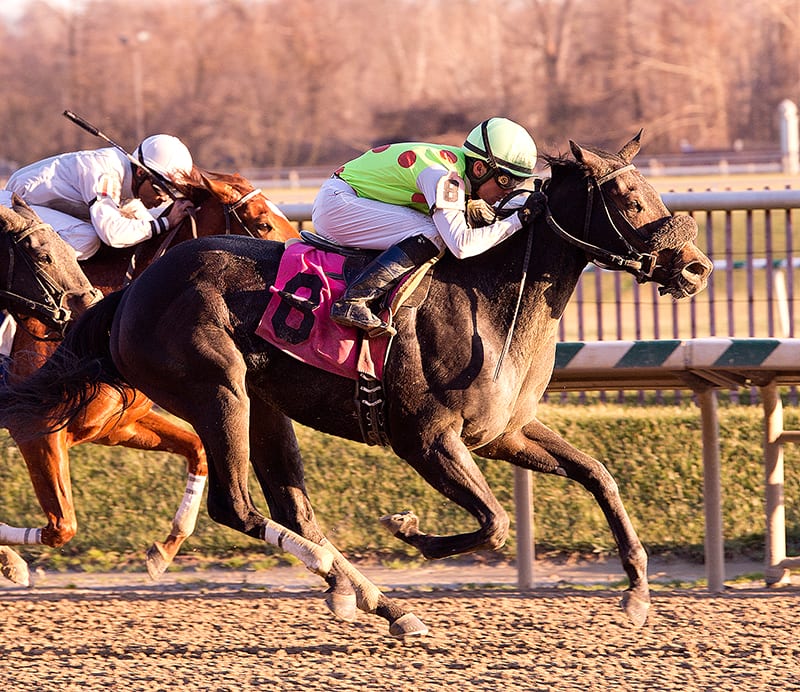 Spotted Heart was up in time to win the Maryland Juvenile Filly Championship. Photo by Jim McCue, Maryland Jockey Club.