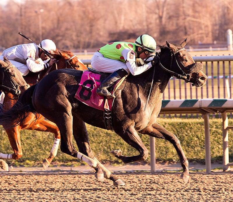 Spotted Heart notches Laurel Park upset