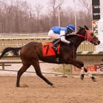 Gabby Gaudet’s longshots and exotic plays for December 6