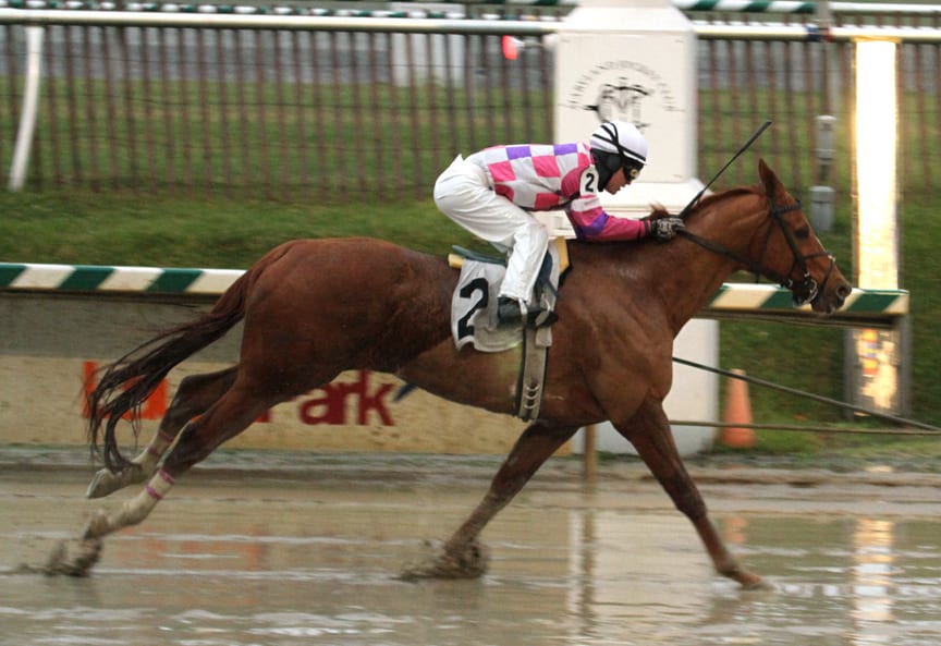 Eighttofasttocatch to be feted at Laurel Park